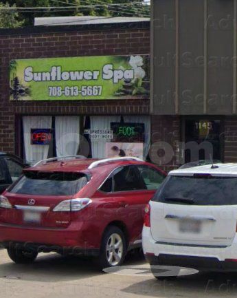 Massage Parlors Oak Park, Illinois Lx Sunflower Spa