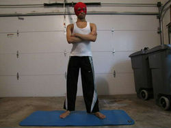 Escorts Dallas, Texas Introvert Looking To Get Out