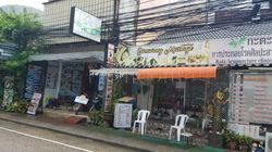 Massage Parlors Ban Kata, Thailand Somwang Massage