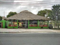 Freelance Bar Punta Cana, Dominican Republic Coco Loco Disco