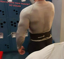 Escorts New York City, New York Masculine Muscular Man