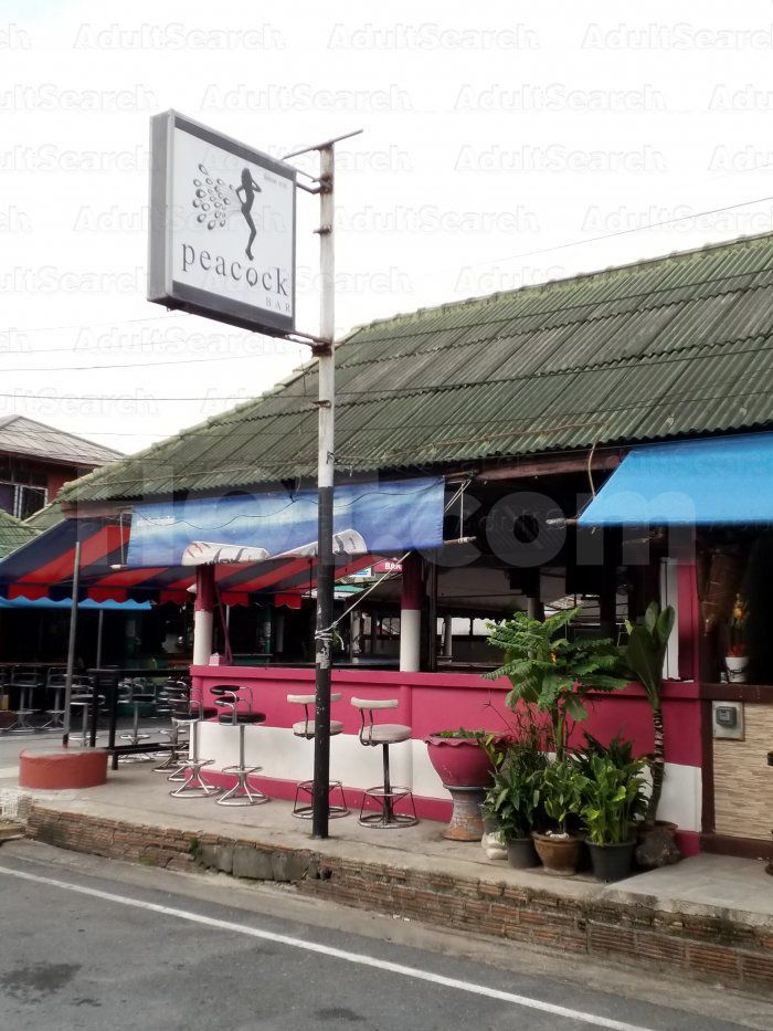 Ko Samui, Thailand Peacock bar