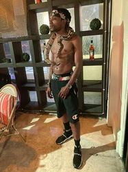 Escorts New York City, New York Top Shelf Company