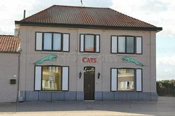 Bordello / Brothel Bar / Brothels - Prive / Go Go Bar Sint-Truiden, Belgium Cats