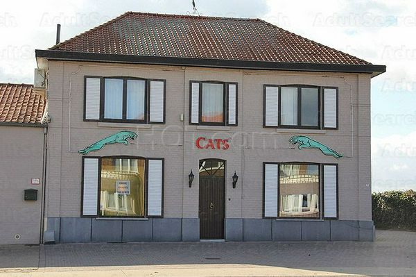 Bordello / Brothel Bar / Brothels - Prive Sint-Truiden, Belgium Cats