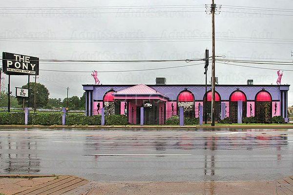 Strip Clubs Memphis, Tennessee The Pony       The Ultimate Strip Joint