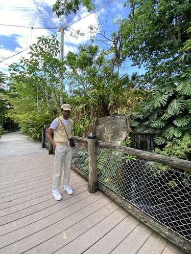 Escorts Miami, Florida Young Dominican Boy