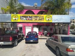 Bordello / Brothel Bar / Brothels - Prive / Go Go Bar Tijuana, Mexico Lindas Palmeras