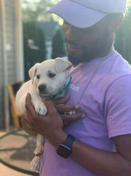 Escorts Dallas, Texas When You Ready