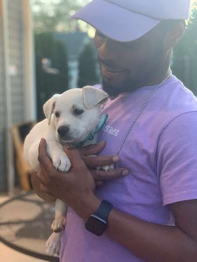 Escorts Dallas, Texas When You Ready