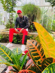 Escorts San Francisco, California Total_Top