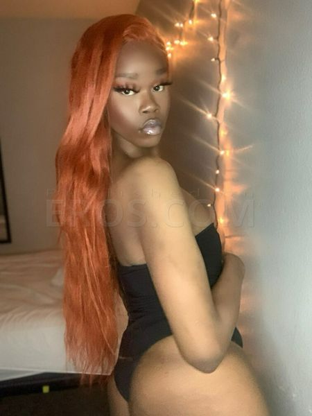 Escorts Arizona City, Arizona TS AsiaGrace