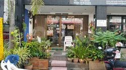 Massage Parlors Patong, Thailand Thai Massage