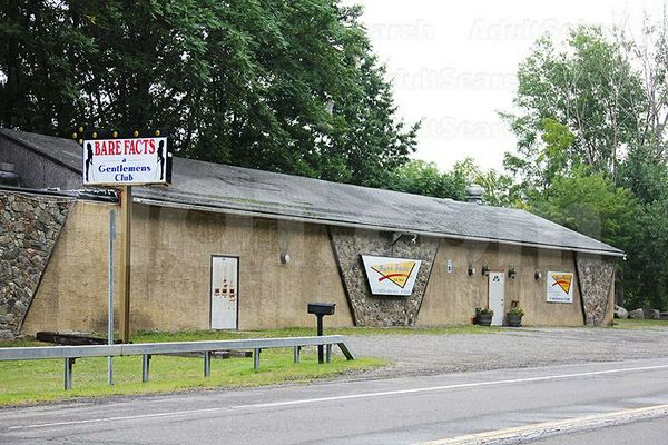 Strip Clubs Waverly, New York Bare Facts