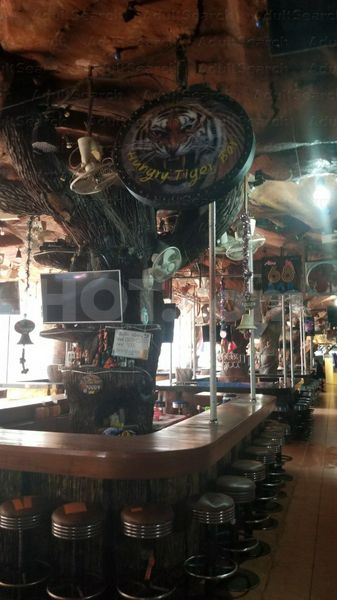 Beer Bar / Go-Go Bar Patong, Thailand Hungry Tiger Bar