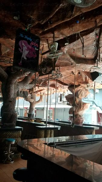 Beer Bar / Go-Go Bar Patong, Thailand The Trophy Wife Bar