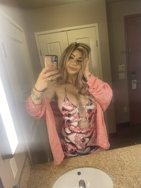 Escorts Miami, Florida TS Chanel