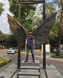 Escorts Chicago, Illinois Outgoing fun guy!