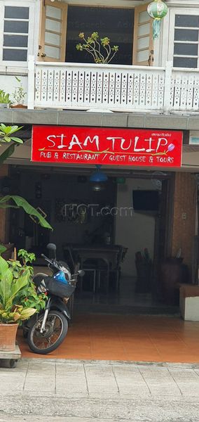 Beer Bar Chiang Mai, Thailand Siam tulip