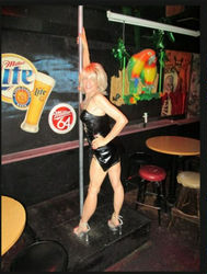 Escorts Phoenix, Arizona TSDeniseLovail