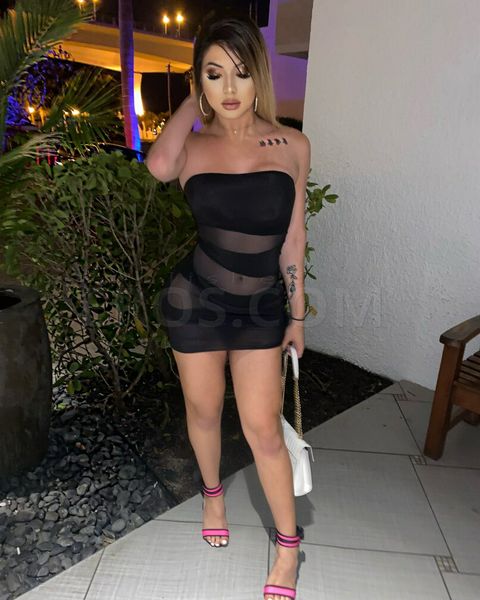Escorts Miami, Florida TS Tiffany fox