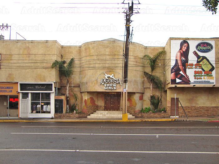 Tijuana, Mexico Amnesia Bar & Men's Club