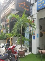 Massage Parlors Bangkok, Thailand A Spa & Massage