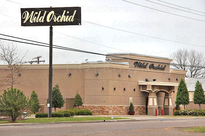 Bossier City, Louisiana Wild Orchid