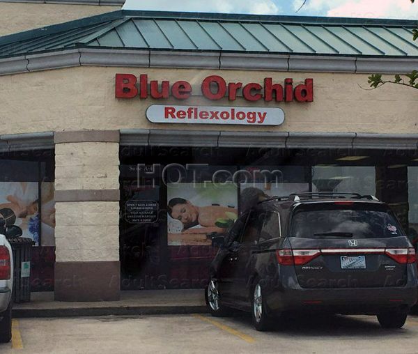 Massage Parlors Lake Jackson, Texas Blue Orchid Reflexology