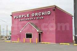 Strip Clubs Philadelphia, Pennsylvania Purple Orchid