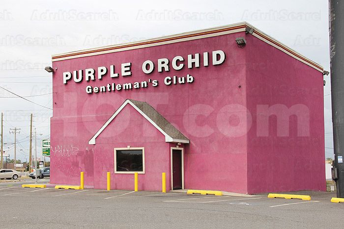 Philadelphia, Pennsylvania Purple Orchid