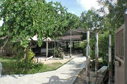 Freelance Bar Boracay Island, Philippines Kingfisher Farm