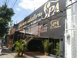 Massage Parlors Guadalajara, Mexico SPA Caballeros