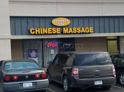 Massage Parlors Southgate, Michigan Dynasty Spa Chinese Massage