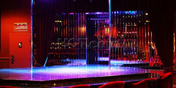 Strip Clubs Tampa, Florida Deja Vu Showgirls